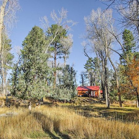 Cozy Colorado Cabin With Deck, Grill And River Access! Buena Vista Kültér fotó