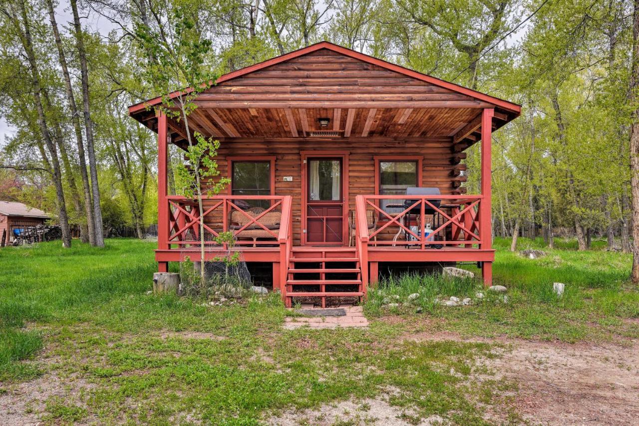 Cozy Colorado Cabin With Deck, Grill And River Access! Buena Vista Kültér fotó