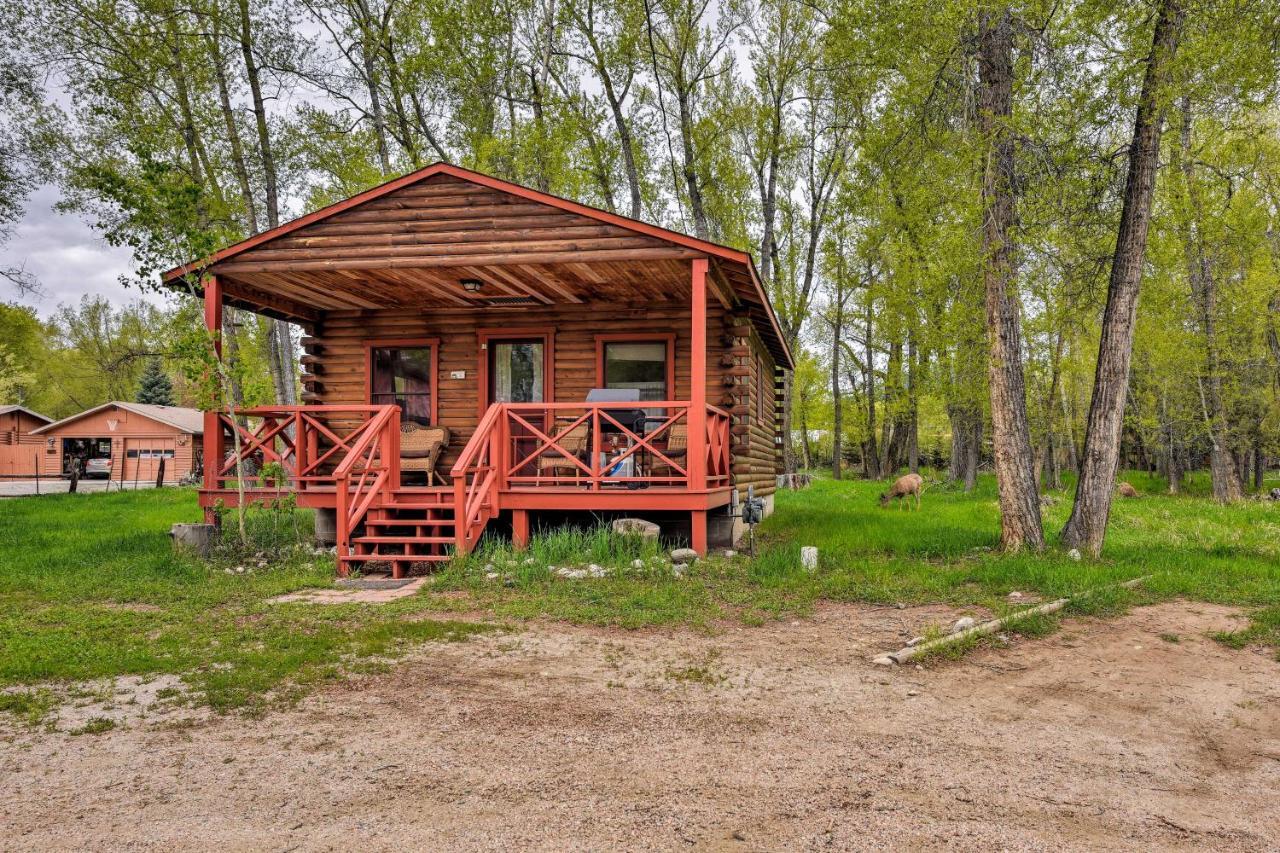Cozy Colorado Cabin With Deck, Grill And River Access! Buena Vista Kültér fotó