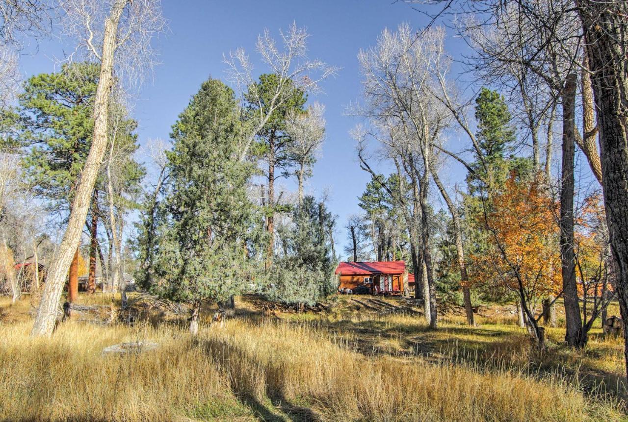 Cozy Colorado Cabin With Deck, Grill And River Access! Buena Vista Kültér fotó